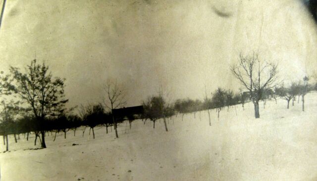 Sad v Lipinách (vpozadí vlevo dům Kozákových, vpravo Štěpánkových), kde v červnu 1941 padlo množství sovětských vojáků. Zdroj: archiv Josefa Kozákajpg